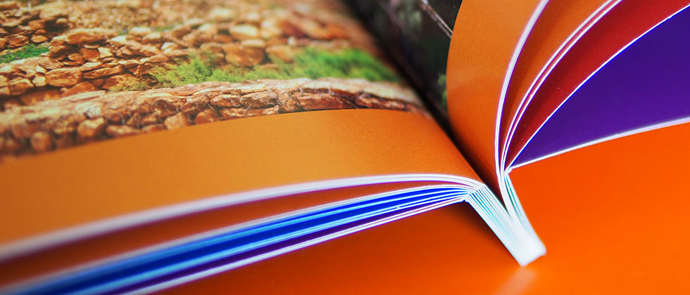 LoG-Website_Press-03